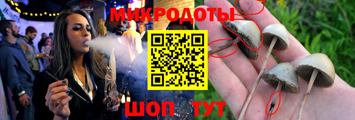 Псилоцибиновые грибы MAGIC MUSHROOMS  Вход с VPN  Галлюциногенные грибы ЛСД  Звенигород 