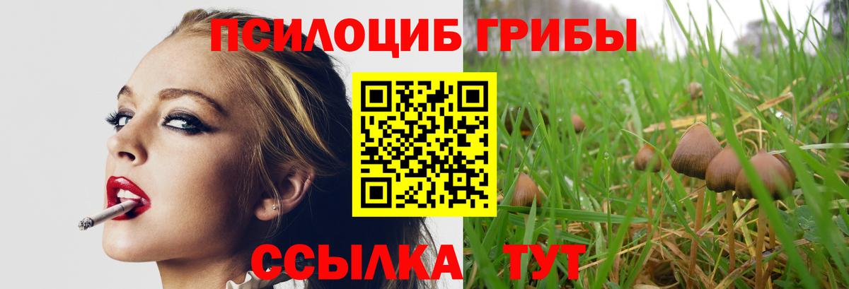 Галлюциногенные грибы Magic Shrooms Звенигород